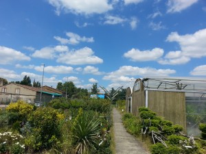 Jardin des Lavandières