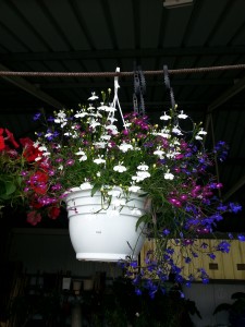 20140531_170529
