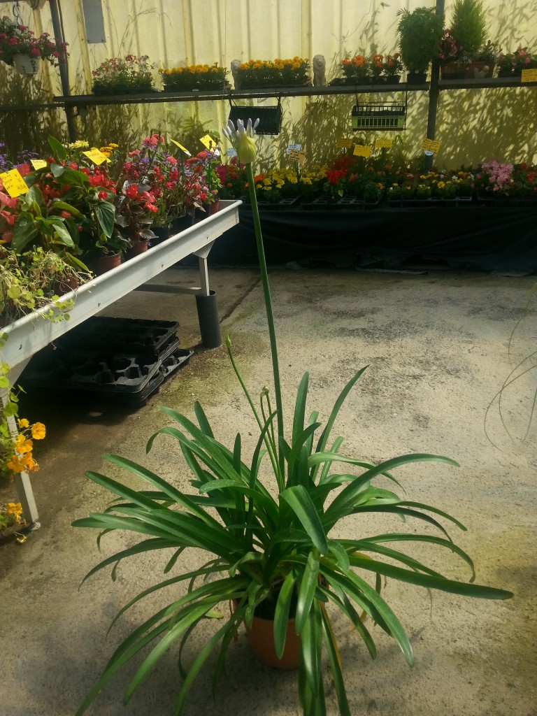 20140607_110753