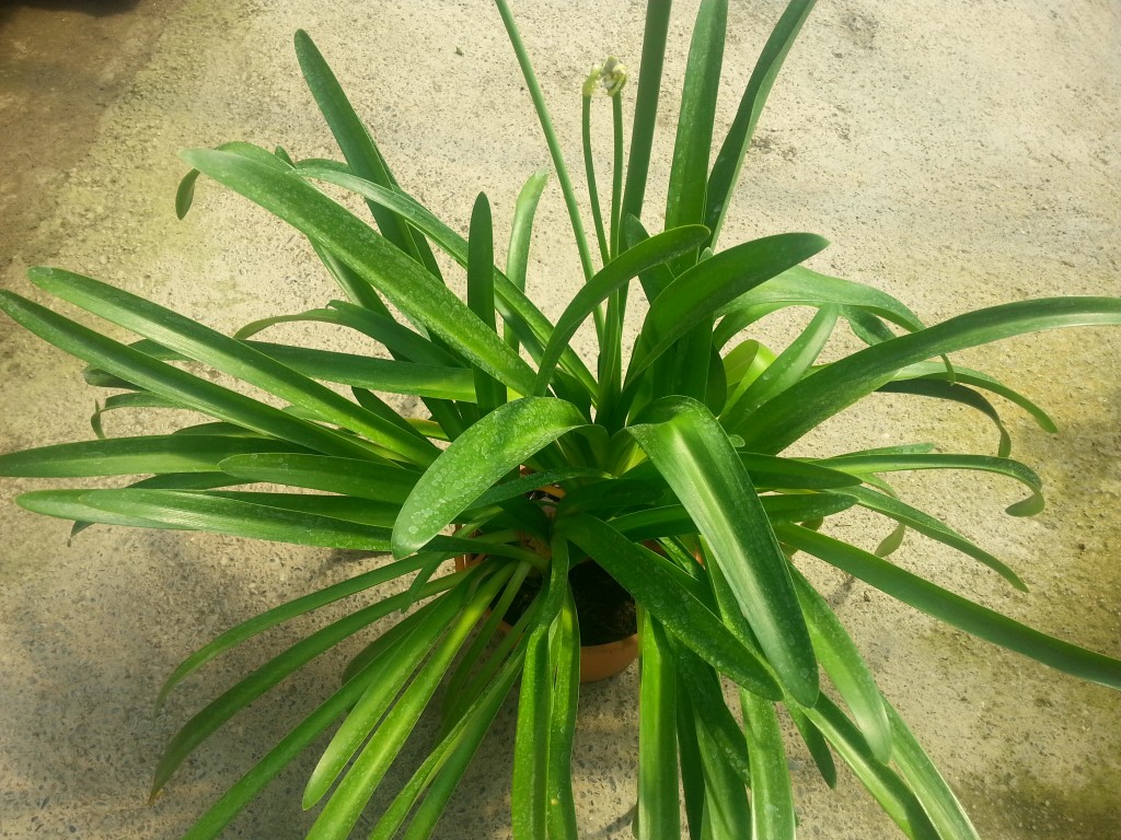20140607_110810