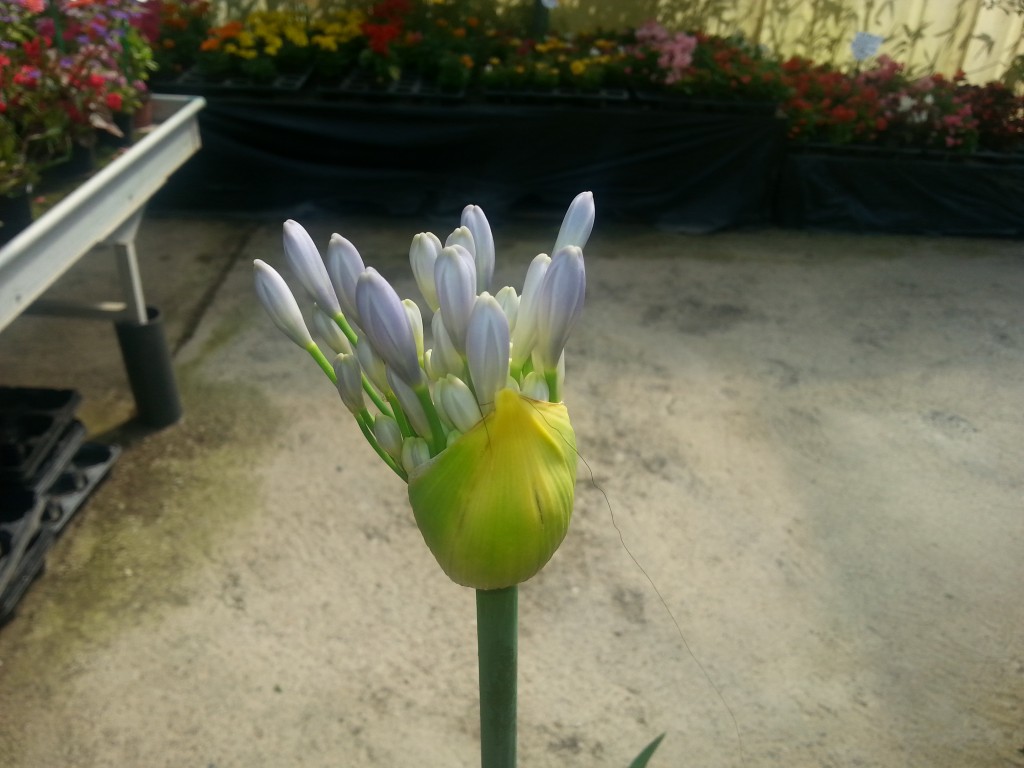 20140607_110817