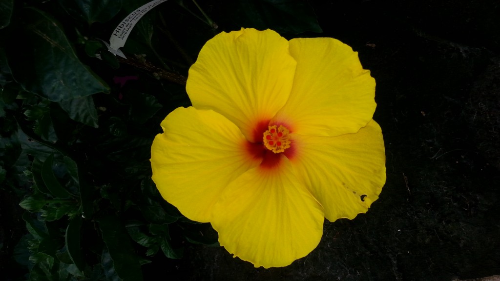 20140919_175412