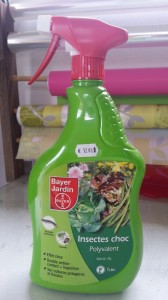 insectes choc