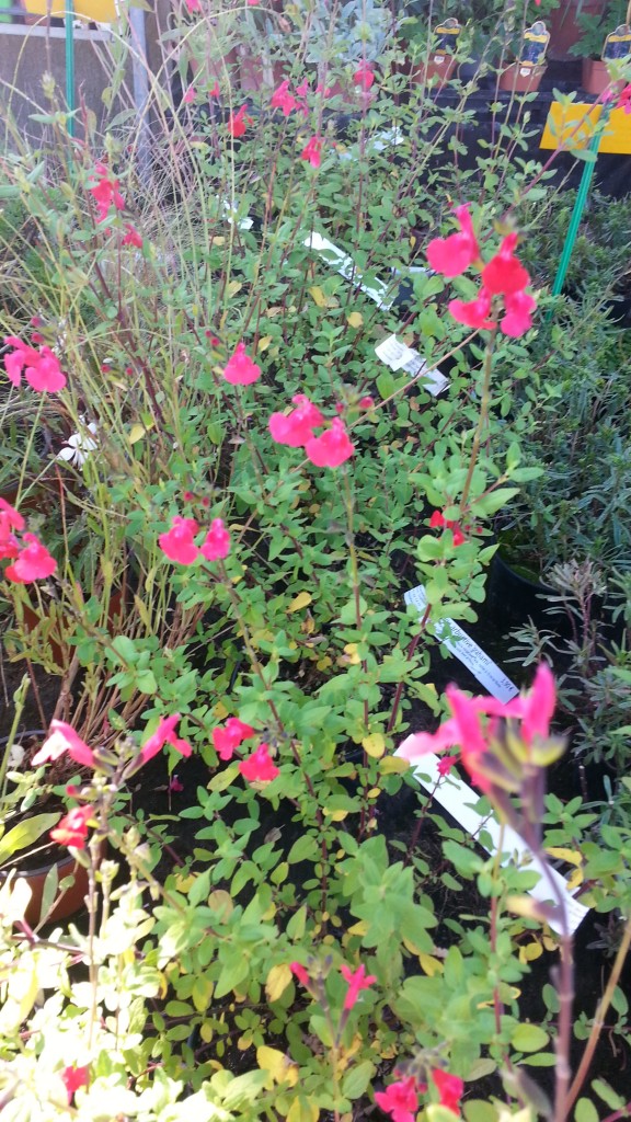 20140926_103907