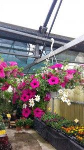 20150428_172026