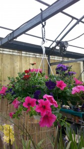 20150428_172036
