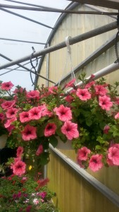 20150430_143240