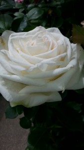 20150505_140542